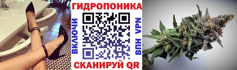 МЕФ Заполярный