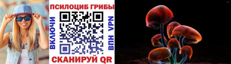 Купить где Заполярный Галлюциногенные грибы Magic Shrooms