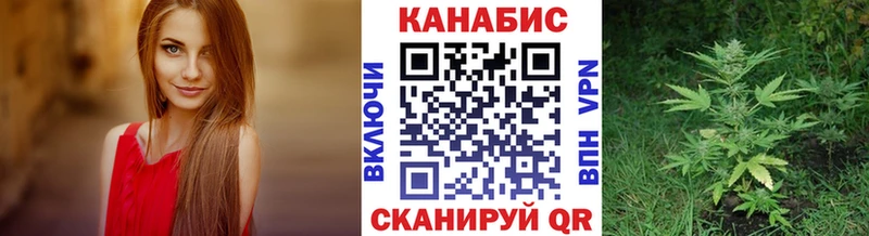 Конопля White Widow  Купить закладки  Заполярный 